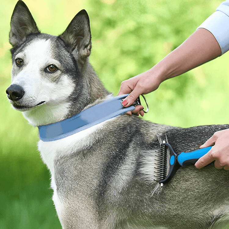 Pro Grooming Brush for Dogs and Cats Detangling Undercoat Hair Removal Pet Grooming Comb