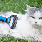 Pro Grooming Brush for Dogs and Cats Detangling Undercoat Hair Removal Pet Grooming Comb